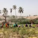 Reversing Ecological Decline: Lessons