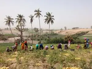 Reversing Ecological Decline: Lessons